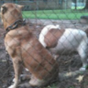 Meet your Posher, Joshua